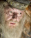 Albus Dumbledore (5)