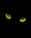 Black Cat (1)