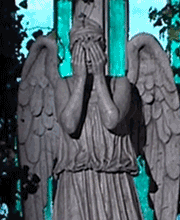 Weeping Angel (9)