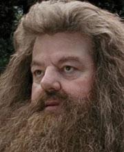 Rubeus Hagrid (2)
